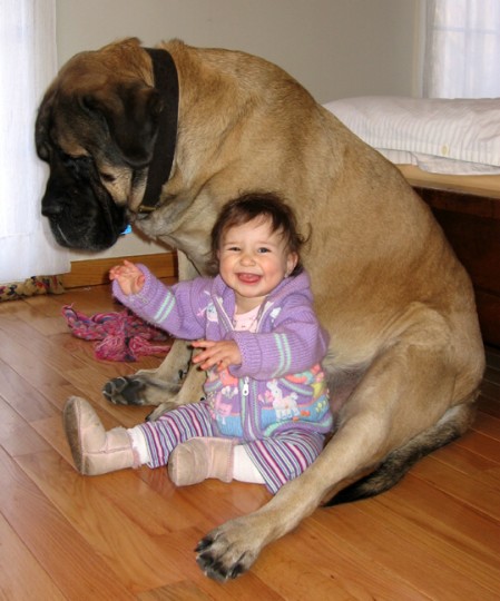 A little happy girl sitting with a dog named Blue