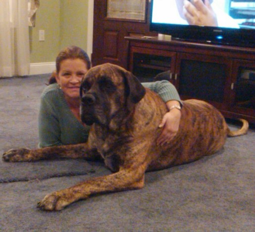 A woman sitting with Bruno dog on the floor