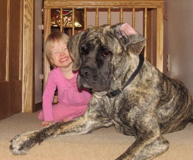 A dog named Daisy with a little smiling girl