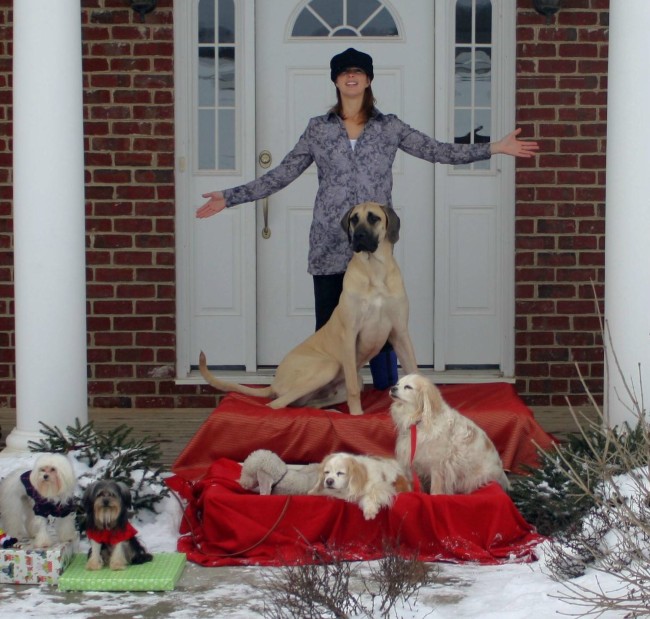 A woman with many dogs on the porch