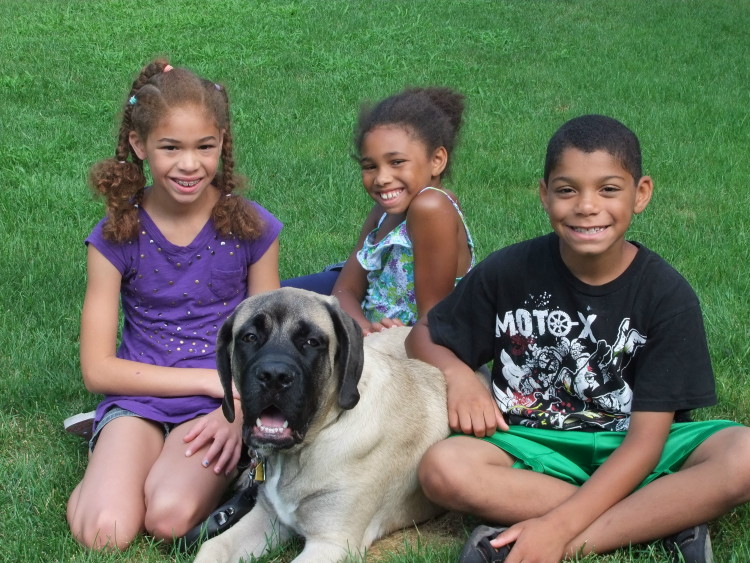 A group of three children sitting on the grass with a dog