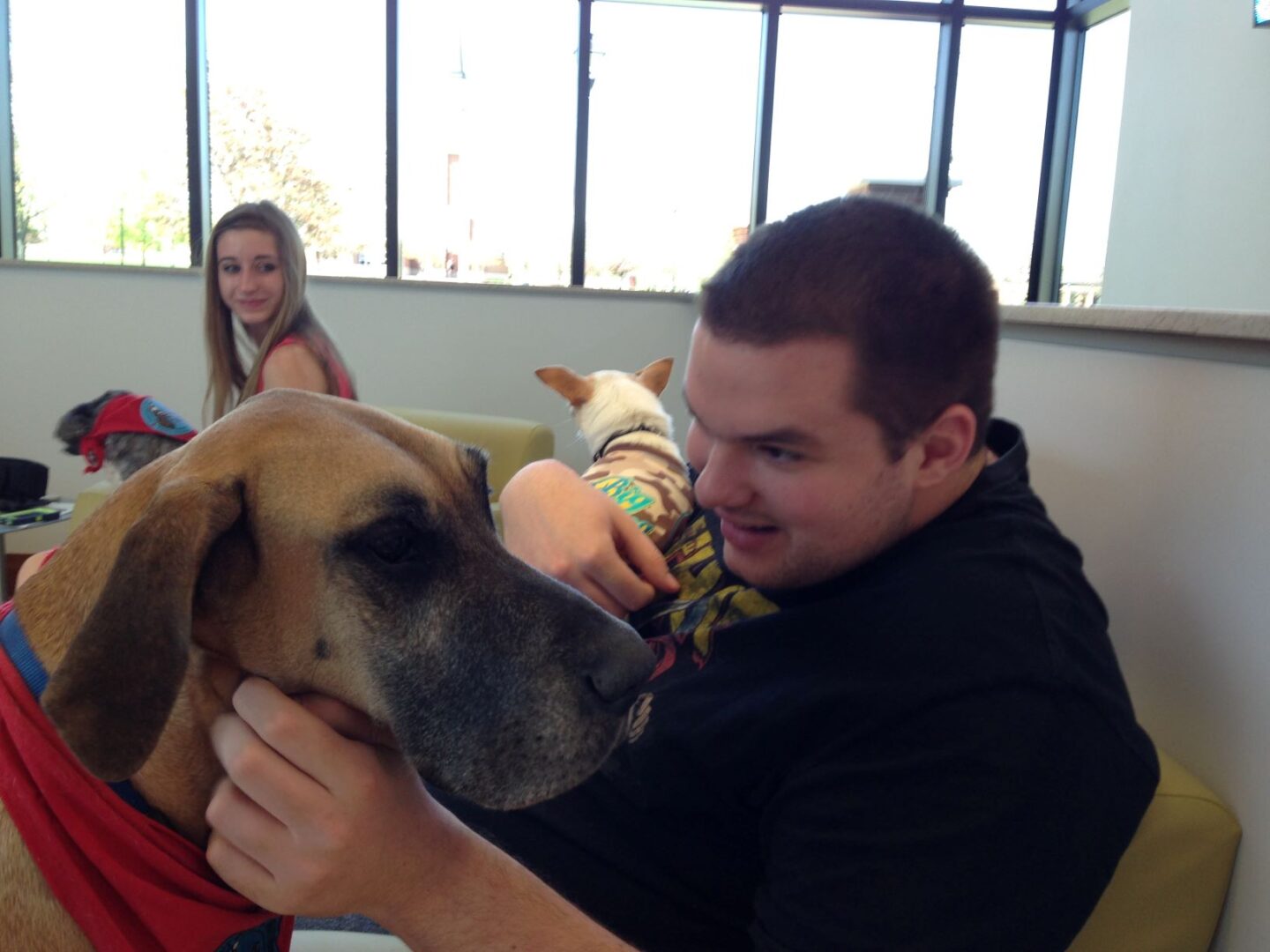 A picture of a boy looking at a dog with red collar