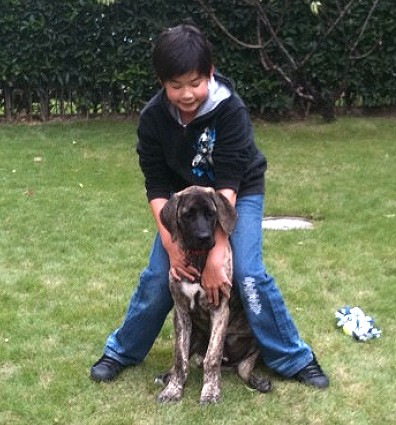 A boy playing with a dog named Kelly in china