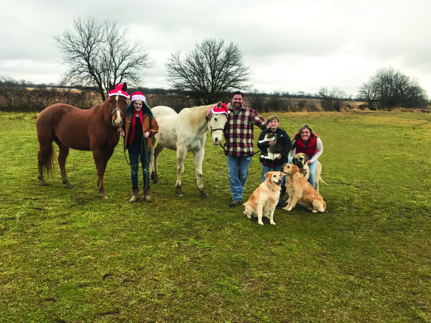 Kona deters with the family, horses, and other dogs