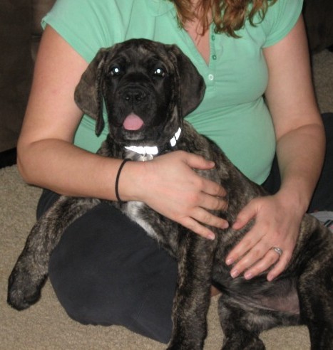 A girl wearing a green shirt with a Kona dog