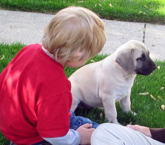 A little boy wearing a red shirt with a dog Maizy