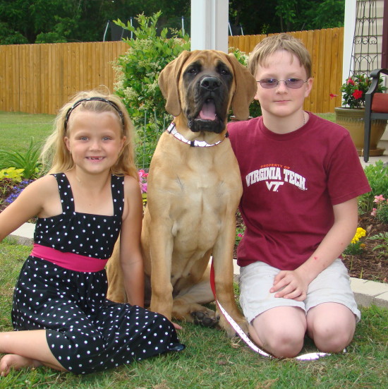 A little boy and a girl playing with their dog