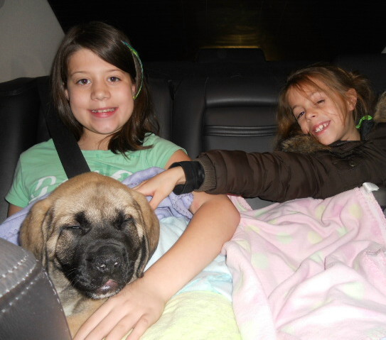 Two girls posing with their dog Moose in a car