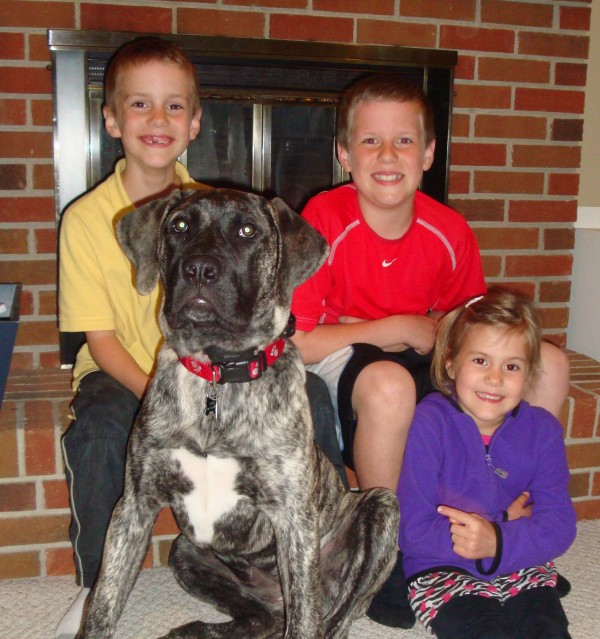 Three children playing with a dog named Rosie