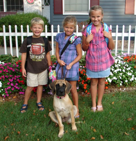 Three little children wearing bags with a dog