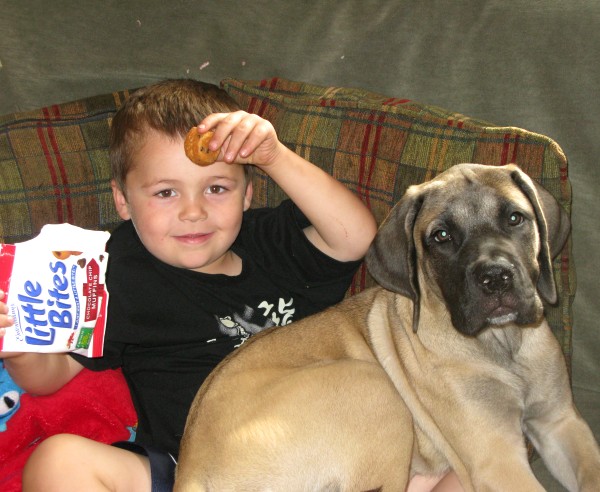 A little boy eating little bites with zoey dog